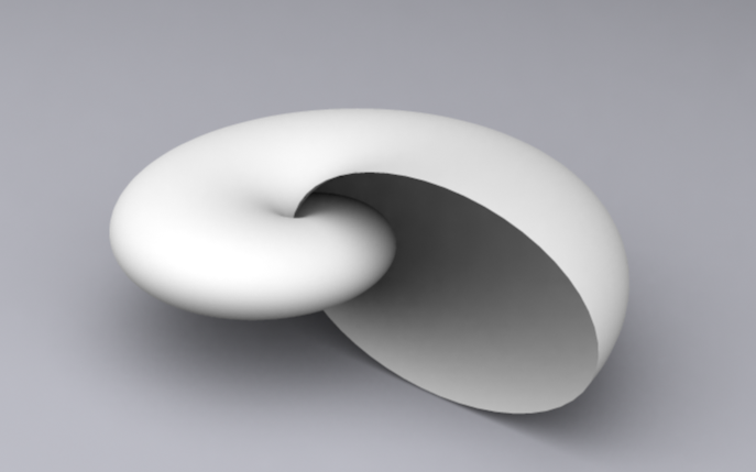 Snail Nautilus.png